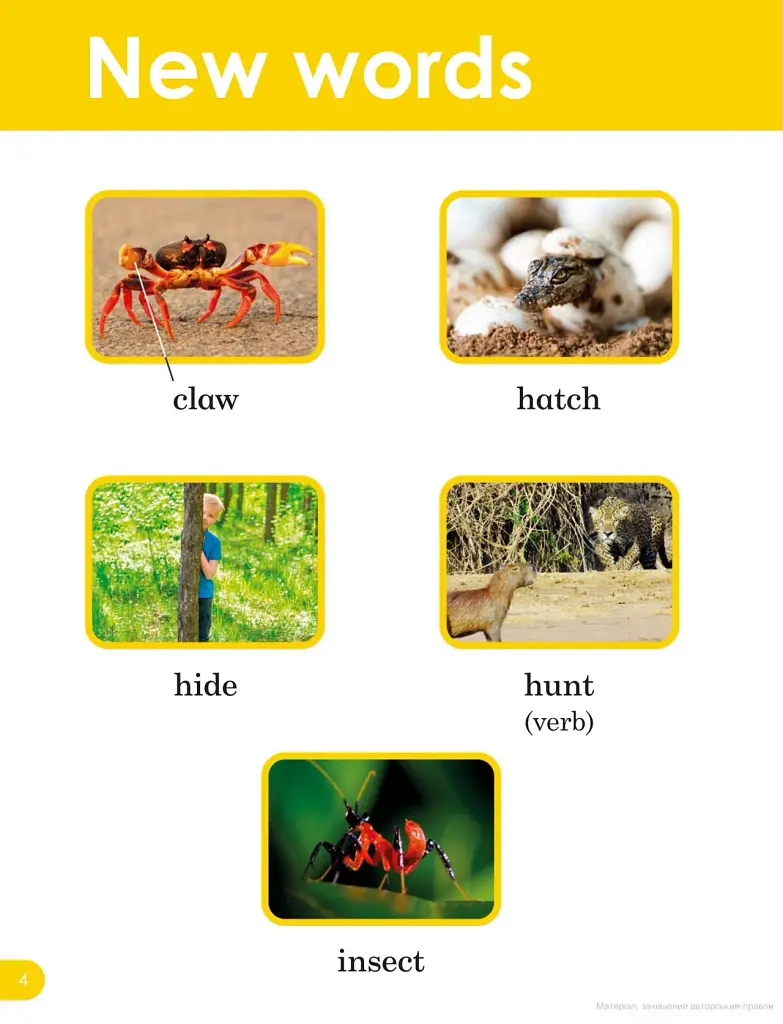Do You Know? Level 1 Animal Sounds. BBC Earth - фото 3