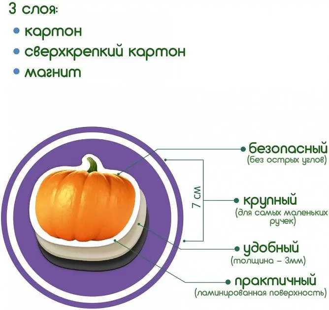 Набор магнитов Magdum "Фрукты и овощи" ML4031-15 EN - фото 4