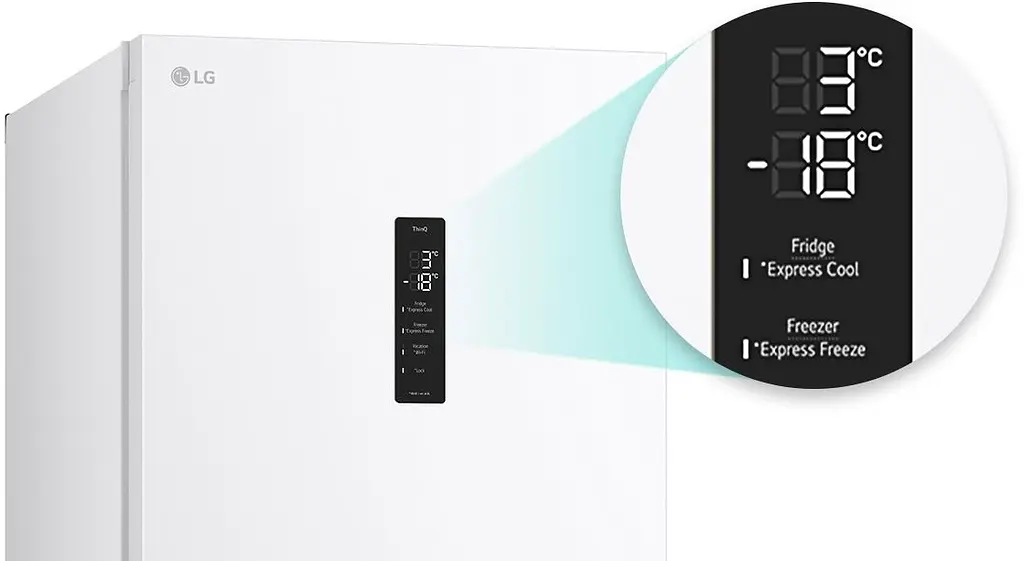 Холодильник LG GW-B509FVFW - фото 16