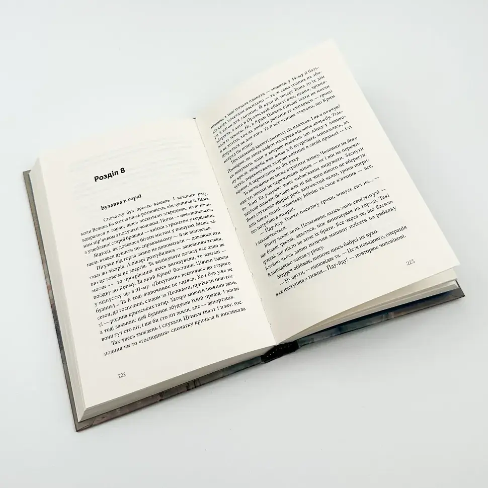 Дім для Дома - Амеліна Вікторія | Видавництво Старого Лева, книга українською, нова, тверда - фото 3