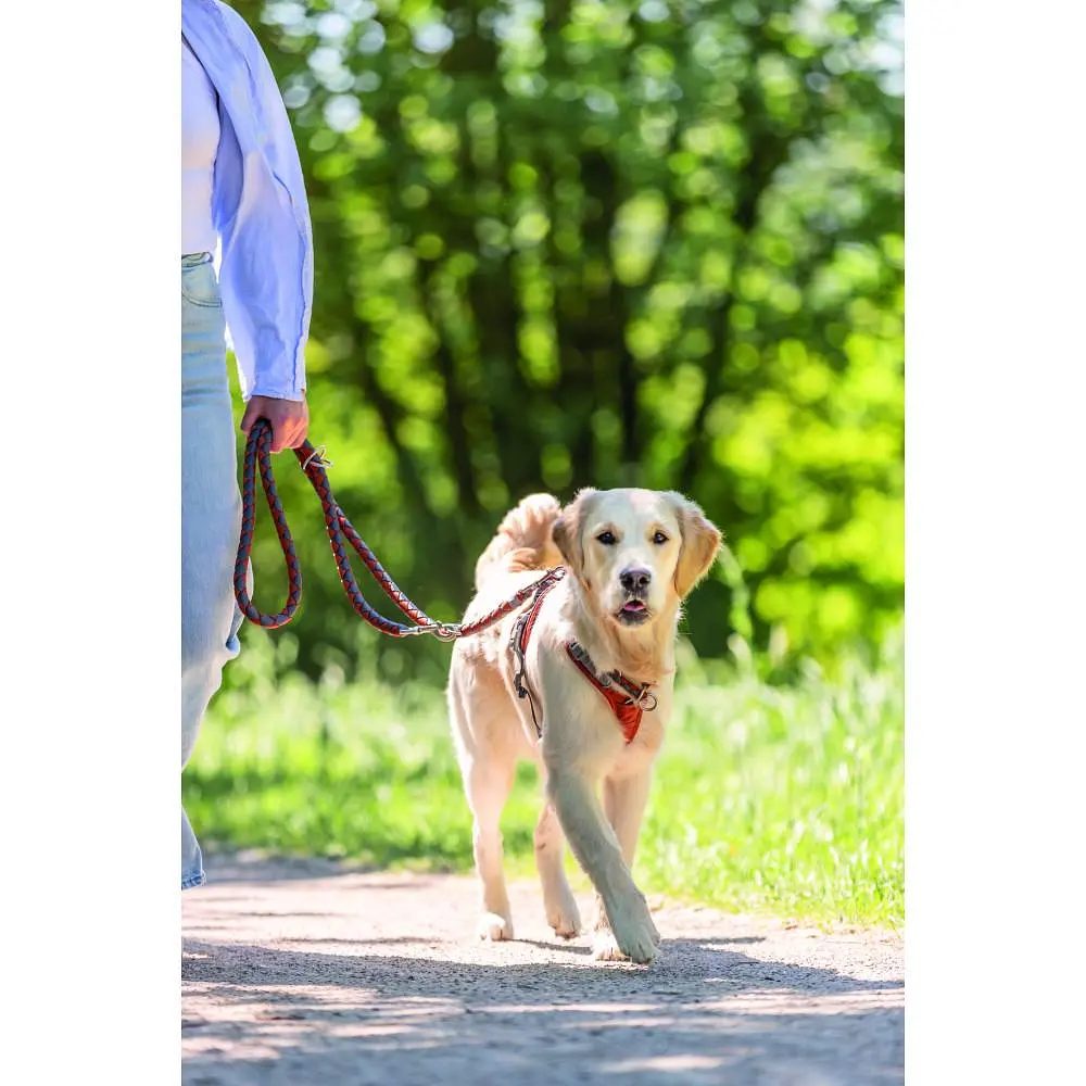 Нашийник для собак Trixie Cavo напівзашморг L 47-55 см d 18 мм рудий/графітовий - фото 3