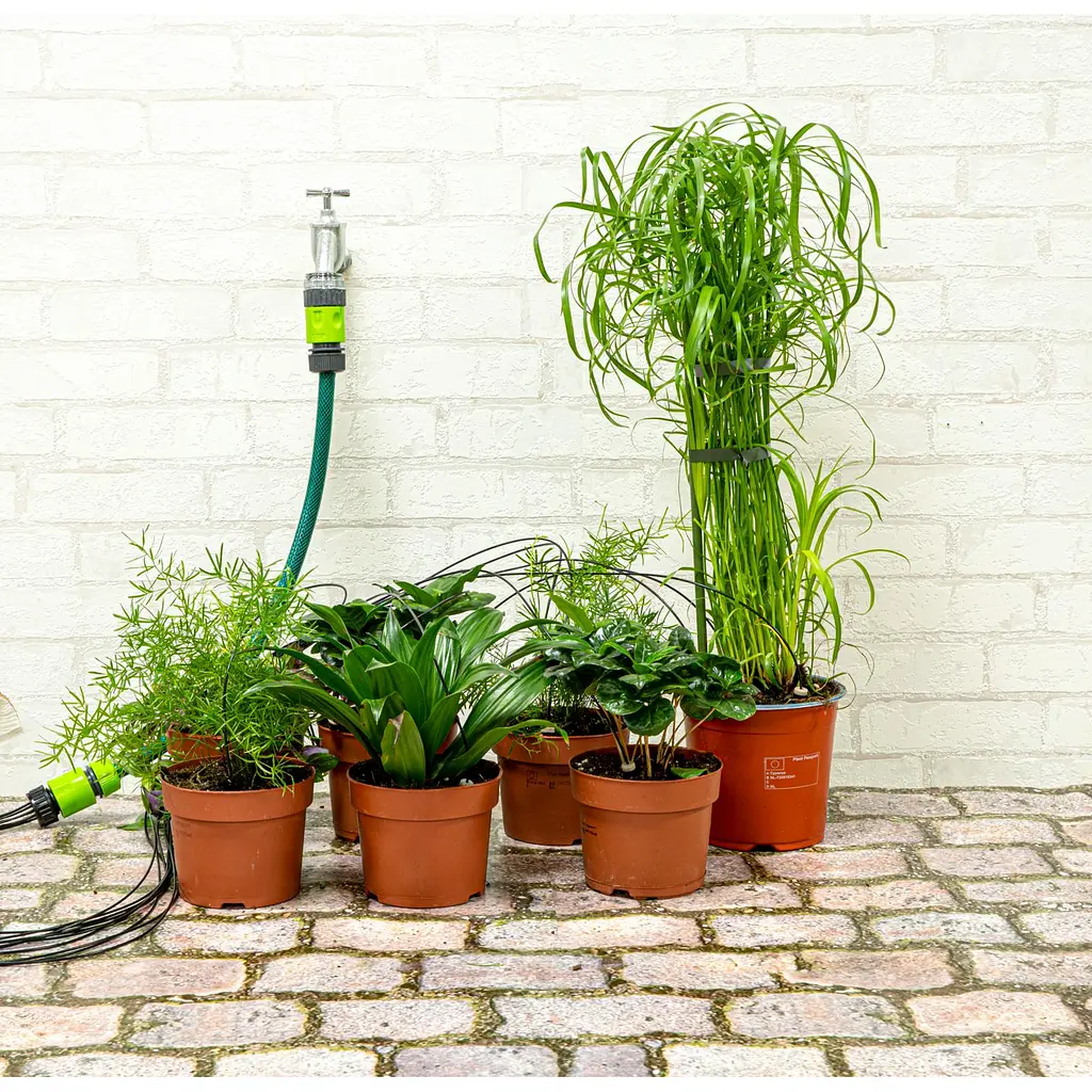 Набір крапельного зрошення Kinzo Garden 10 крапельниць - фото 3