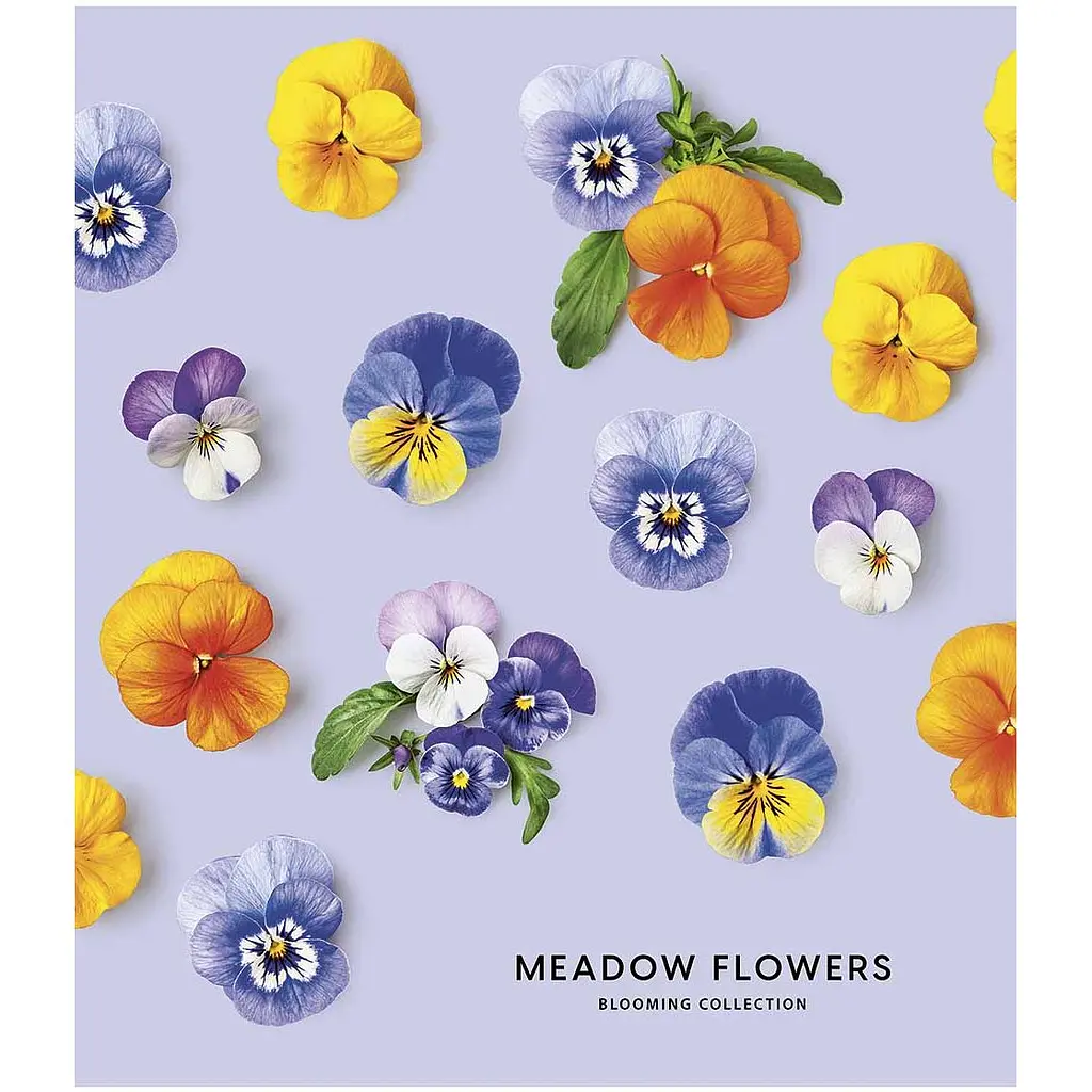 Зошит загальний Школярик Meadow flowers, в лінійку, 36 арк, УФ-лак, 20 шт. (036-3190L) - фото 5