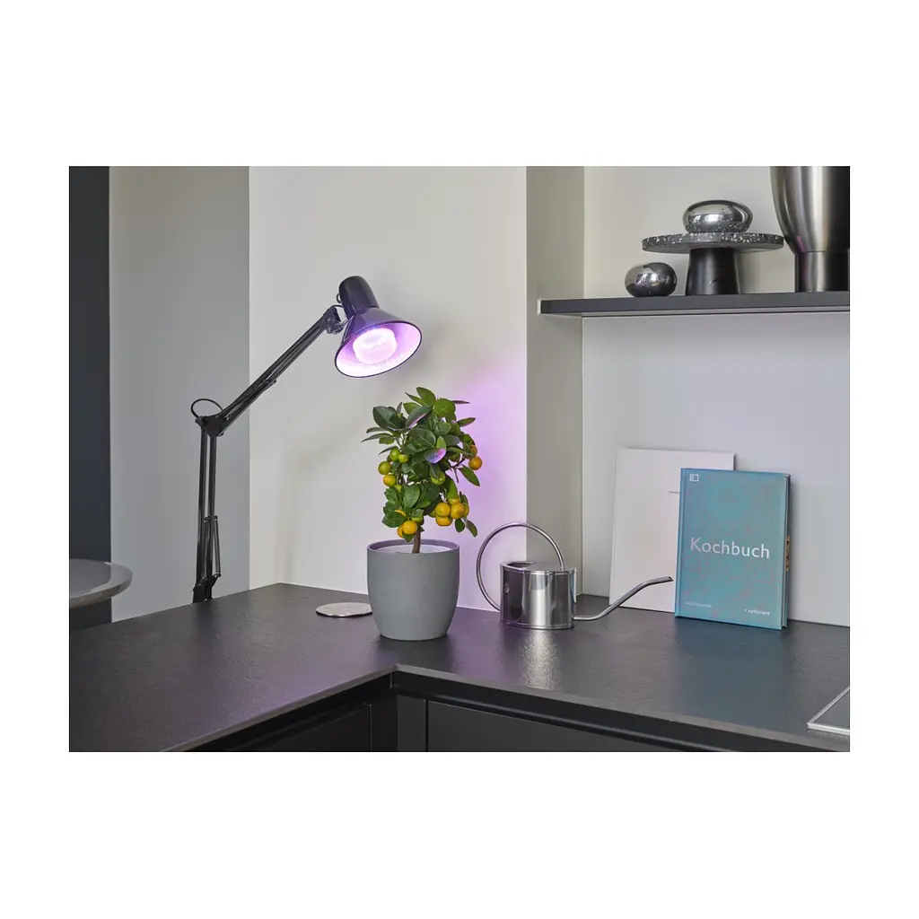 Лампочка Osram LED T80 GROW 20W CL 230V FR E27 (4058075845800) - фото 2