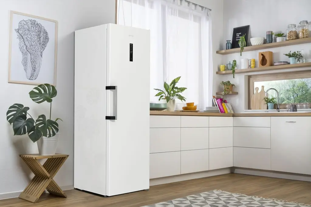 Холодильна камера Gorenje R619EAW6 - фото 17