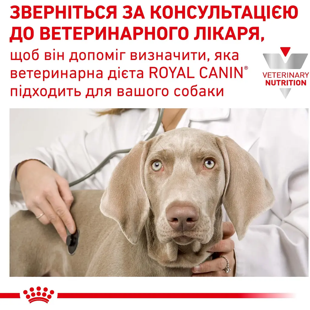 Вологий корм Royal Canin Urinary S/O Moderate Calorie лікувальні консерви для собак при захворюваннях нижніх сечовивідних шляхів 100 г - фото 5