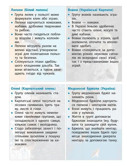 STEM-Старт. Наука про життя. Робочий зошит. 4 клас - Ірина Потапенко - фото 16