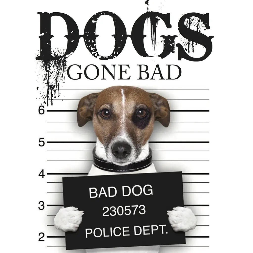 Dogs Gone Bad - Джек Рассел