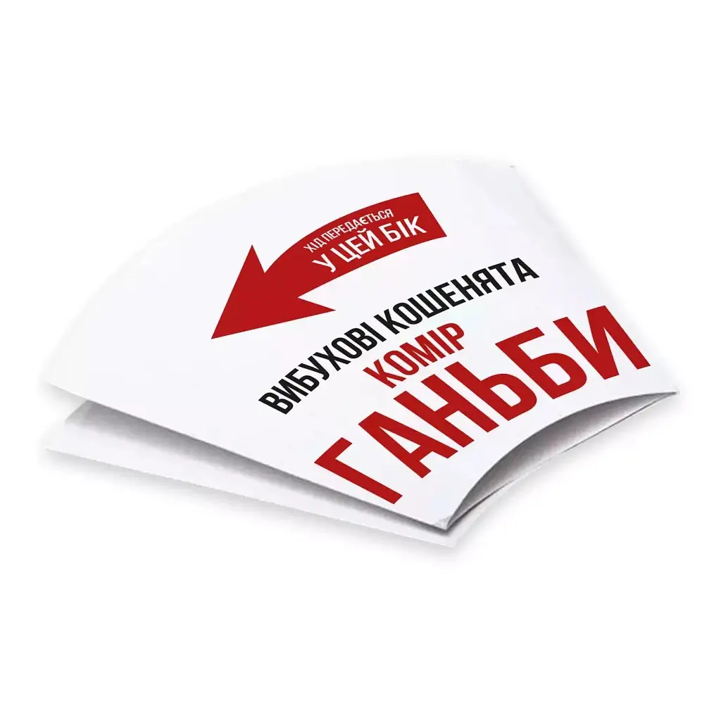 Настольная игра Rozum Взрывные котята: Сингулярные котята (дополнение) (810083046372) - фото 4