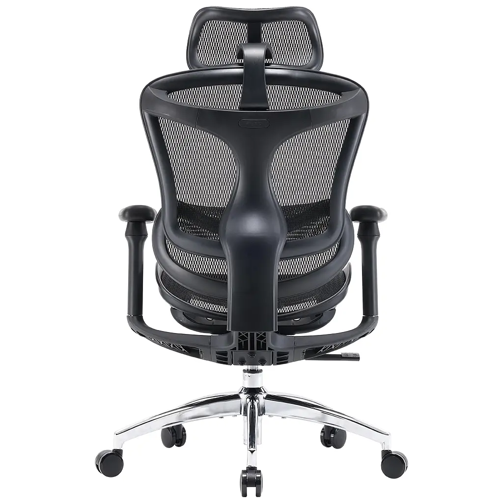 Офісне крісло Sihoo DORO C300L сітка, чорне (DORO-C300L-A3-101) - фото 4