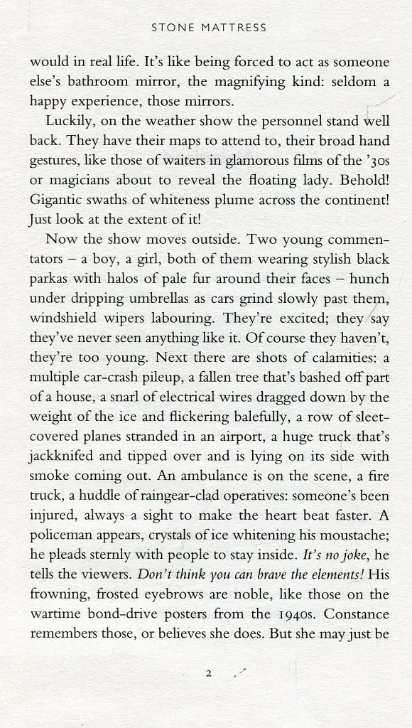 Stone Mattress: Nine Wicked Tales - фото 4