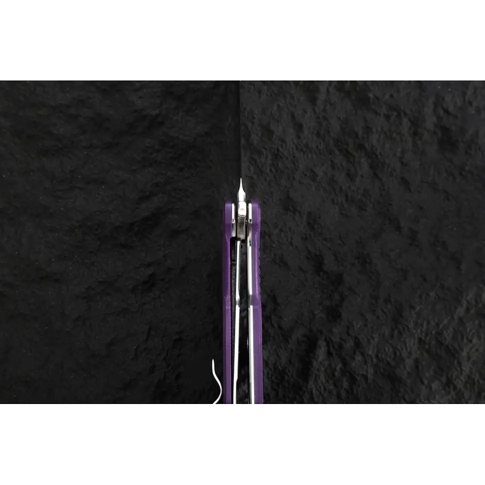 Ніж складаний Ganzo G769-PL - фото 11