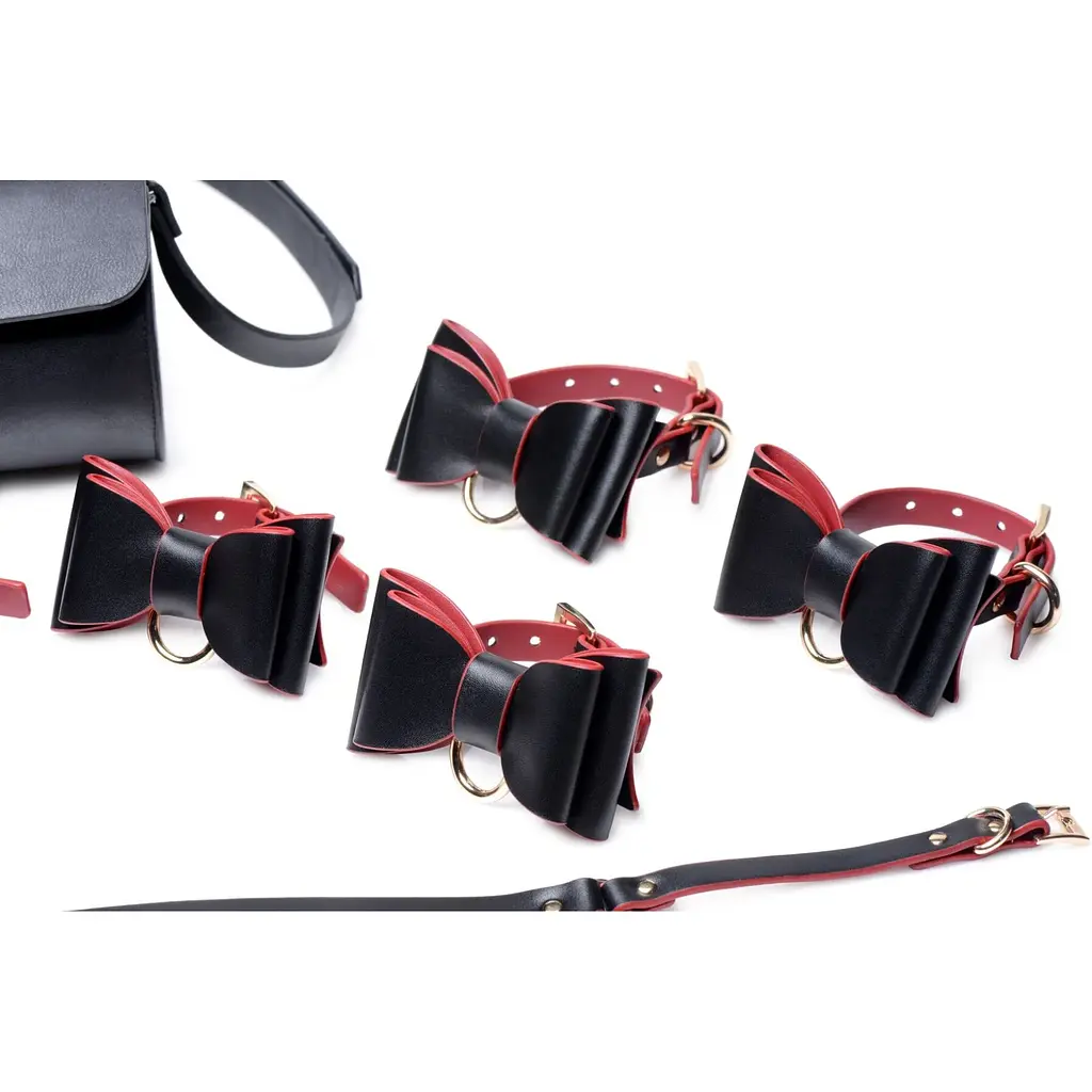 Набір для BDSM Master Series Bow - Luxury BDSM Set With Travel Bag - фото 4