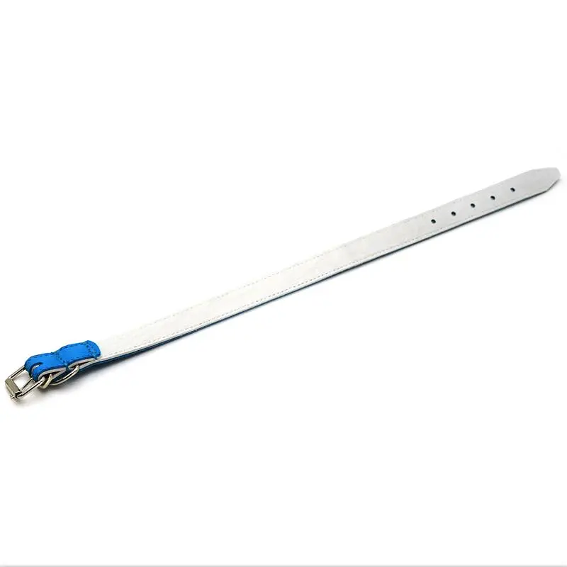 Нашийник для собак Zoo-hunt ОД Фарби шкіряний подвійний блакитний 1,2/20-25 см - фото 2