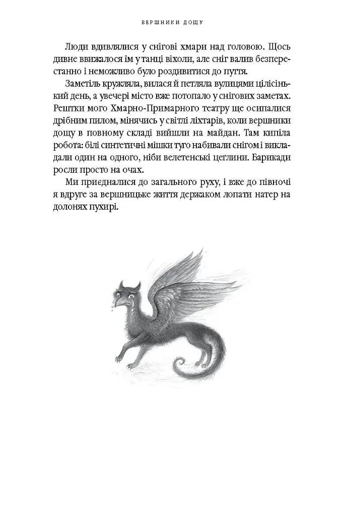 Вершники дощу - фото 8