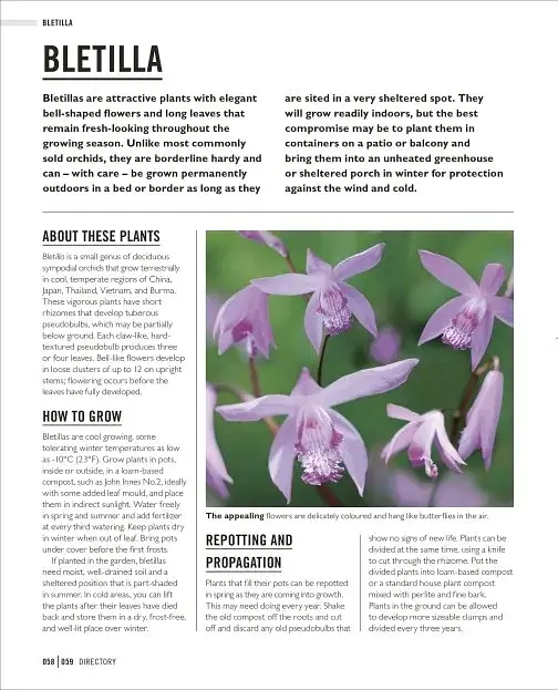 Grow Orchids. Essential Know-how and Expert Advice for Gardening Success - фото 8