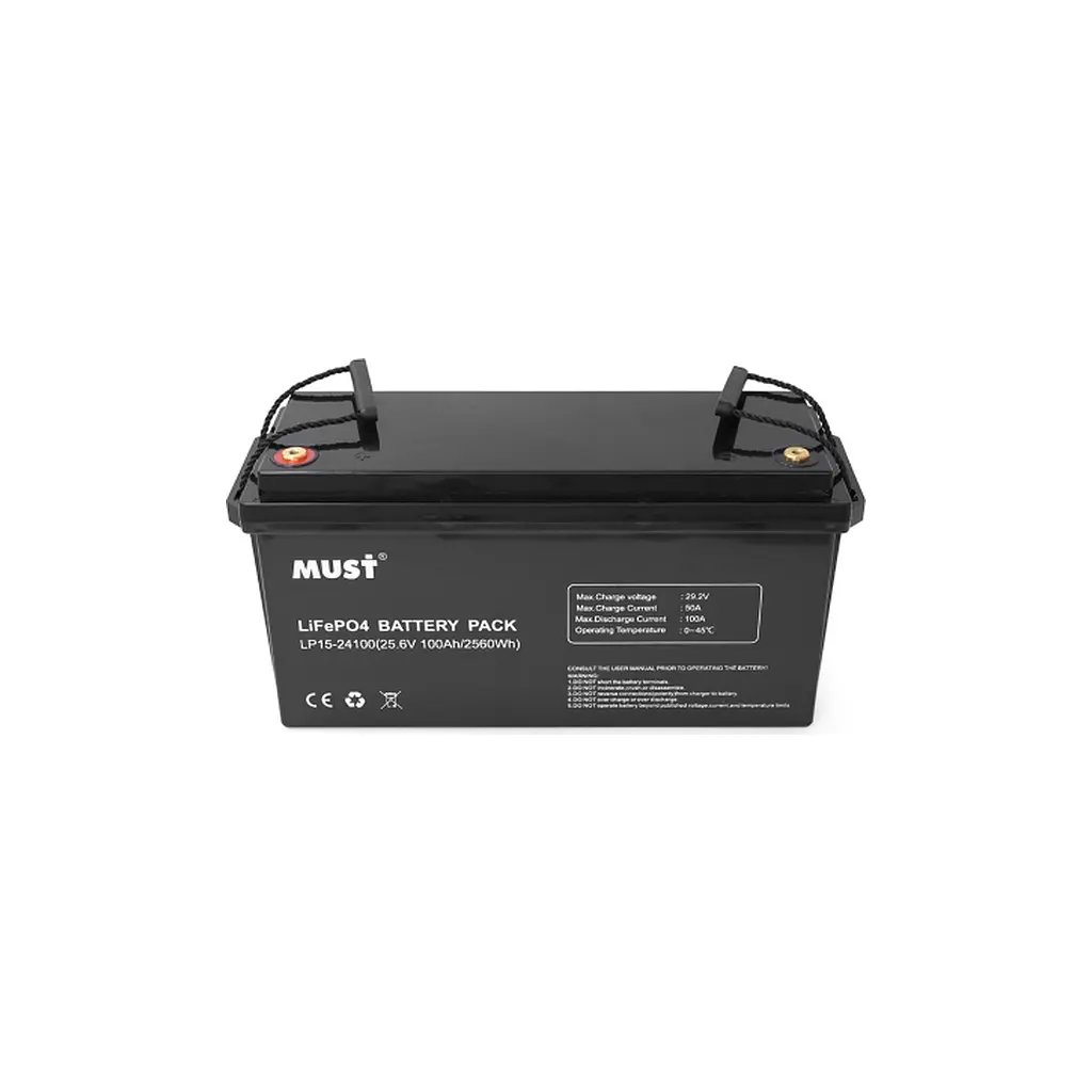 Батарея LiFePo4 Must 25.6V - 100Ah (LP15-24100) - фото 2