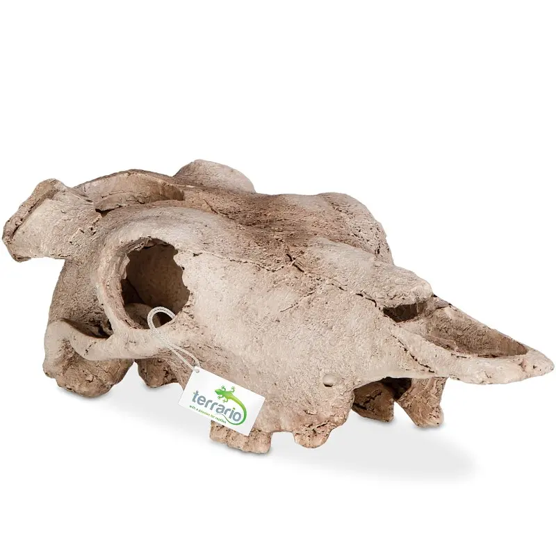 Декорація череп буйвола Terrario Buffalo Skull 21x12x8см (22128) - фото 5