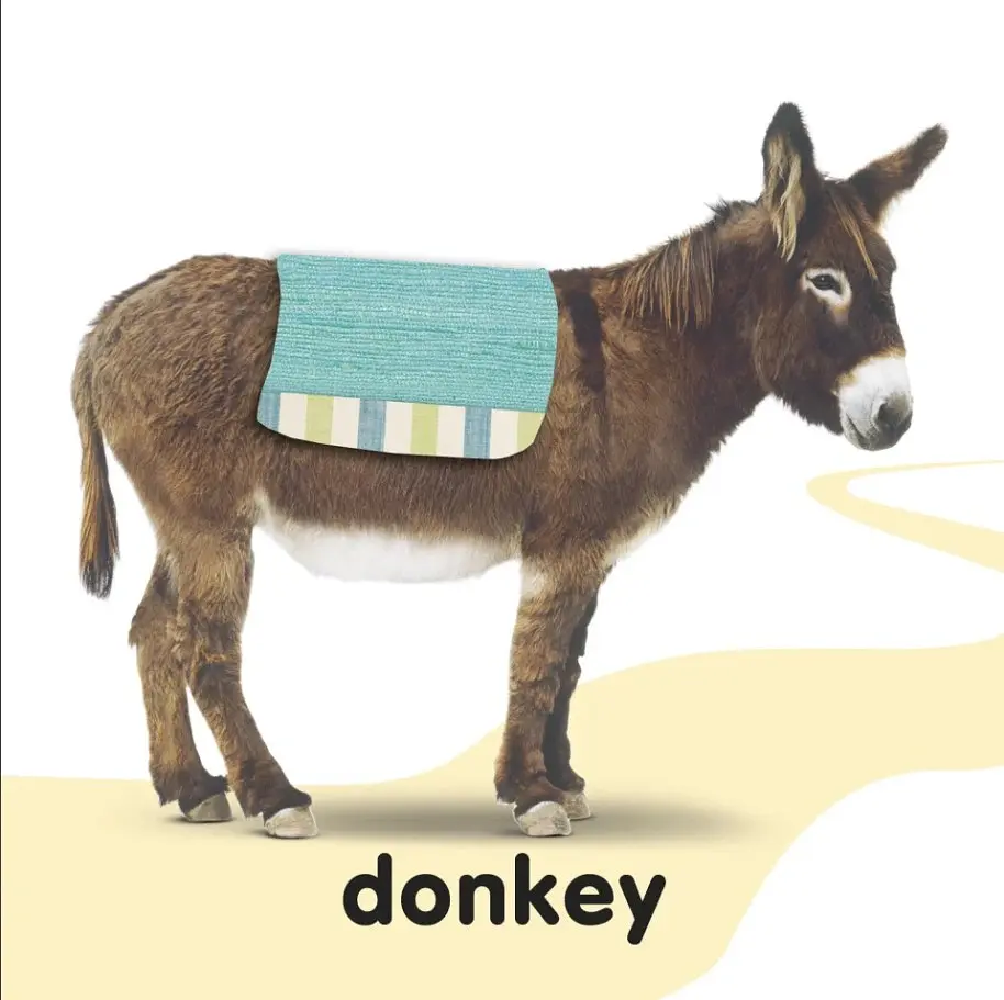 Baby Touch and Feel Bible Animals - DK - фото 2