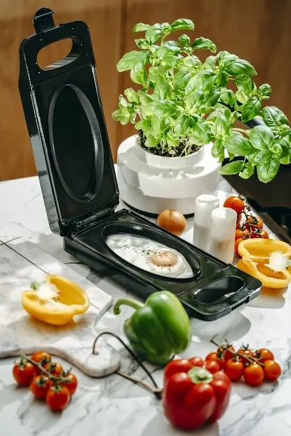 Гриль электрический Adler AD 3066 многофункциональный овальная форма - фото 6