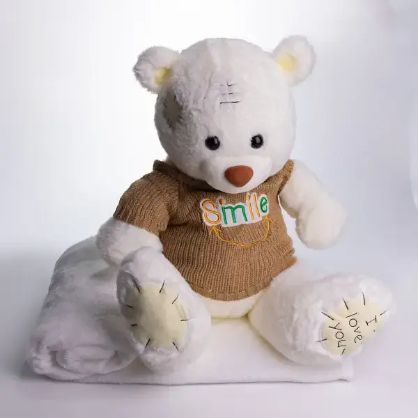 Мягкая игрушка с пледом 110х140 см Мишка Тедди в коричневом свитере белый плюшевый плед игрушка подушка детская ТМ COLORFUL HOME 509-35WBR - фото 2
