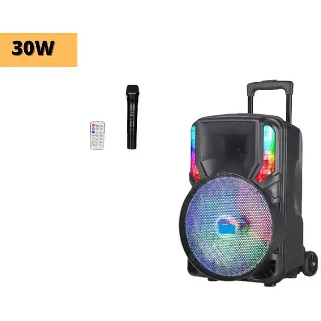 Портативна колонка бумбокс XPRO NDR-12 валіза 30Вт USB SD FM радіо Bluetooth 1 мікрофон ДУ (MER-15678) - фото 2
