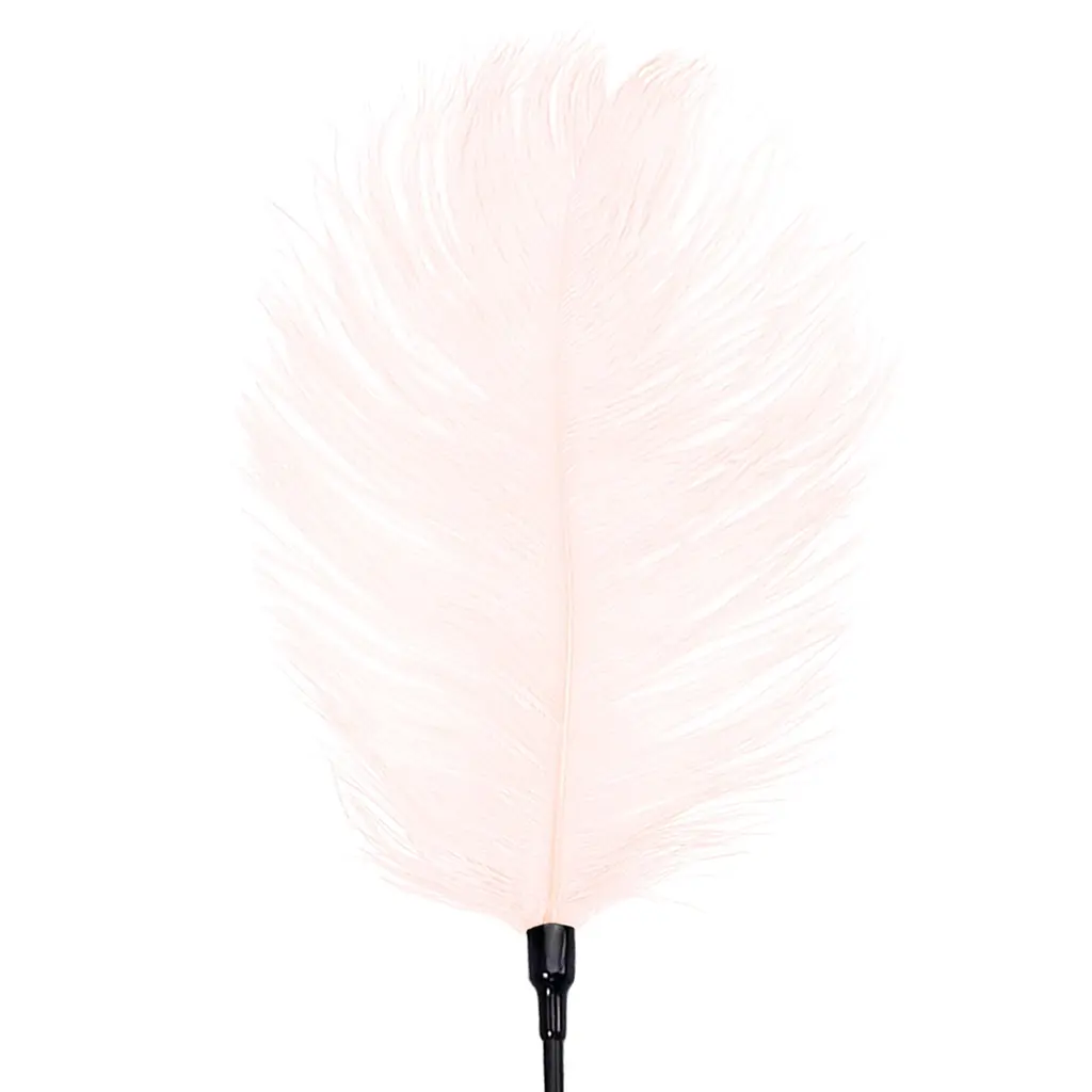 Лоскіт зі страусиним пером Art of Sex - Feather Tickler, колір Світло-рожевий Art of Sex SO7135 95158 - фото 2