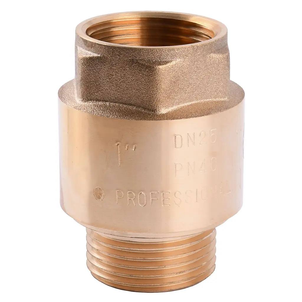 Зворотний клапан Q Professional 1″ НВ QP100MF 000014114
