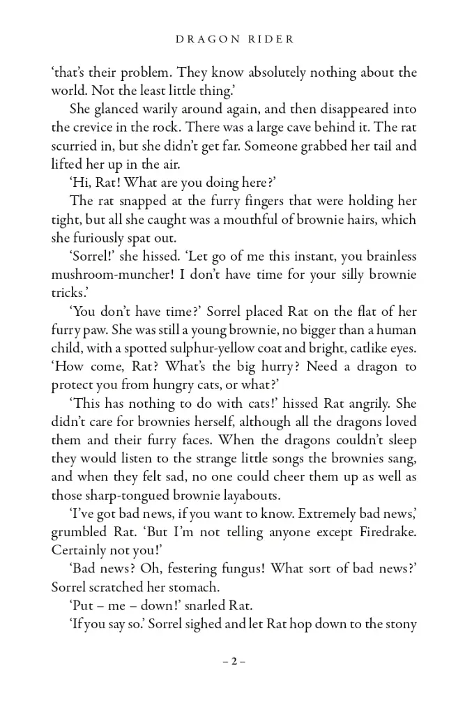 Dragon Rider. Book 1 - фото 3