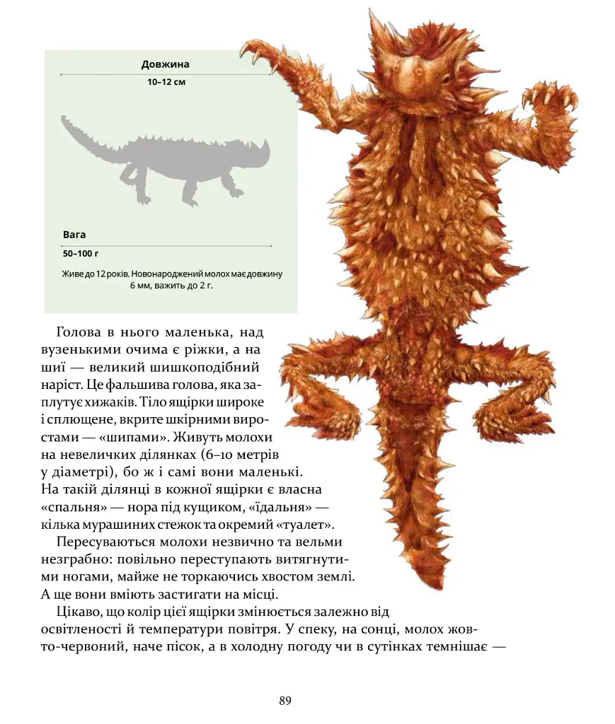 Експедиція за дивовижними тваринами - Наталія Шейн - фото 16