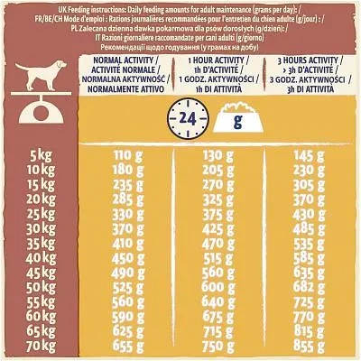 Сухий корм для собак Purina Dog Chow Active Adult зі смаком курки 14 кг (7613034487933) - фото 3