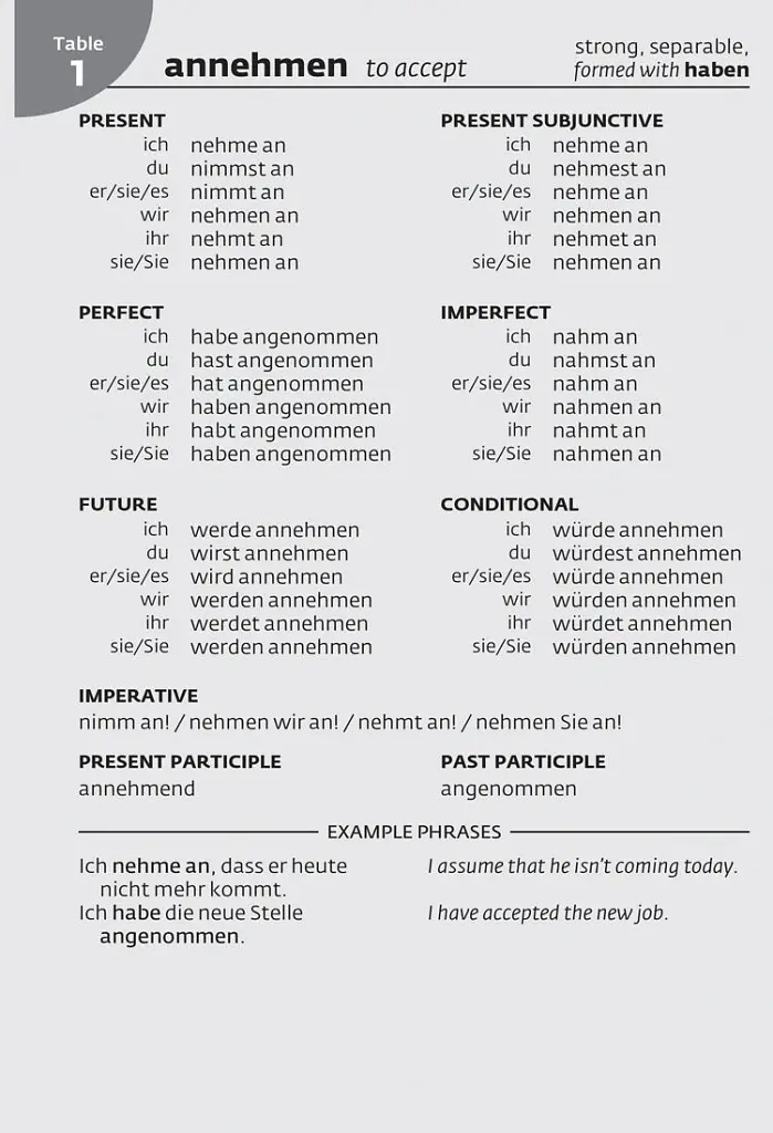 Collins German School Dictionary - - фото 5