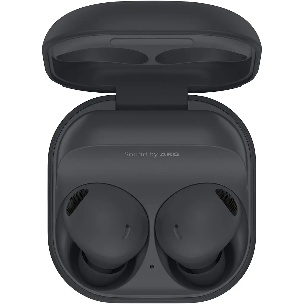 Наушники Bluetooth Samsung Galaxy Buds 2 Pro R510 Graphite (SM-R510NZAASEK) - фото 2