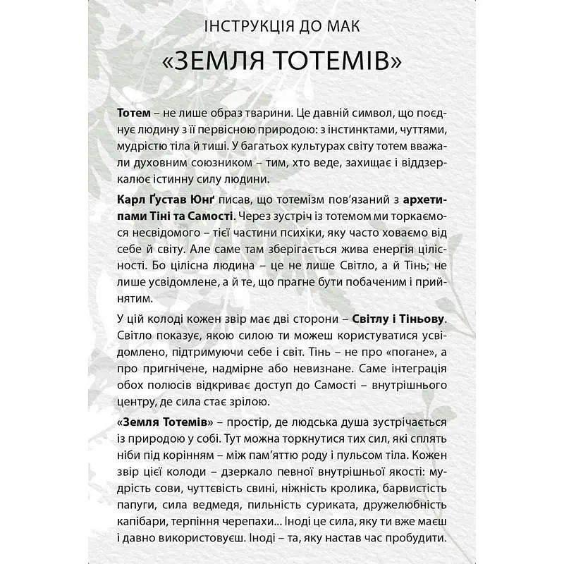 Настільна гра Колесо Життя Земля тотемів від 16 років (SR-113-N-1560) - фото 6
