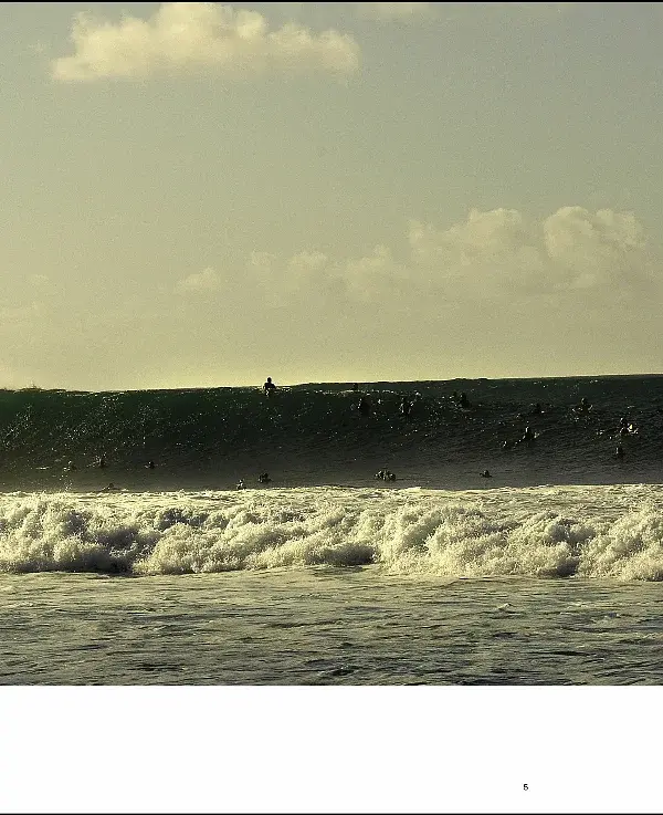 Waves. Pro Surfers and Their World - фото 7