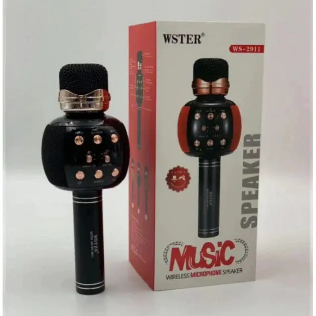 Бездротовий караоке мікрофон з динаміком 5 тембрів USB AUX FM Wster WS-2911 - фото 4