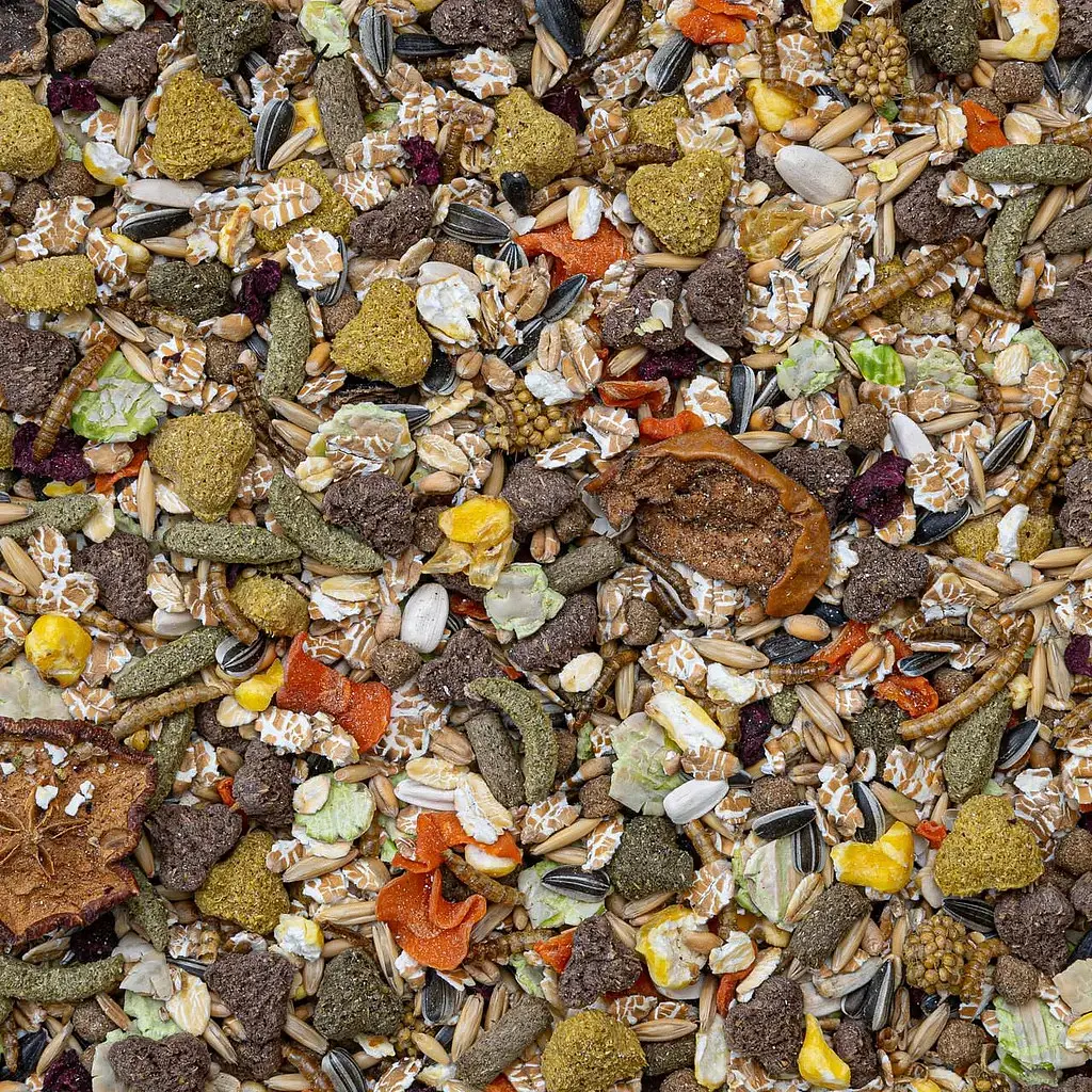 Повнораціоний корм для щурів Deli Nature Super Premium Robelicious Rats 2.5 кг 29536 - фото 2