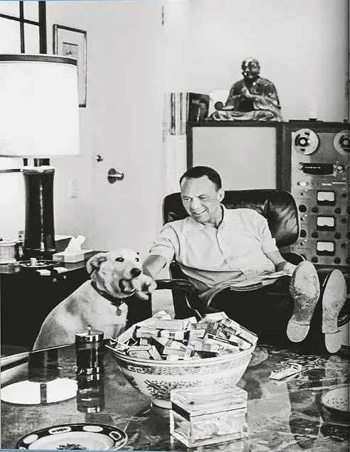 Frank Sinatra Has a Cold - фото 2