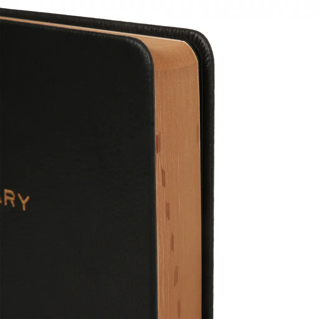 Ежедневник-деловая записная книжка А5 Leo Planner Ottavio 2026 твердый 368 страниц (252684) - фото 3