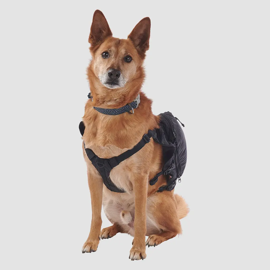 Рюкзак для собак Ultimate Direction Dog Vest V2 L Чорний-Сірий - фото 2