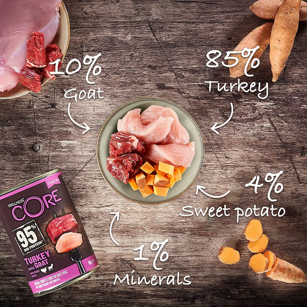 Консерви для собак Wellness CORE Duo Protein Turkey with Goat with Sweet Potato з індичкою та козою - фото 3