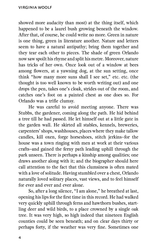 Orlando - фото 6