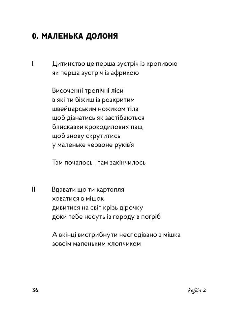 Сніданок поблизу чорної діри - Лесик Панасюк - фото 8