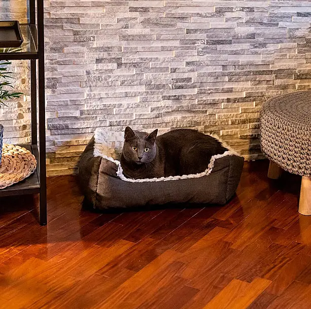 Лежак для собак і котів Ferplast Sweetie 45 зі штучним хутром сірий 48x37x16 см 81064499 - фото 8
