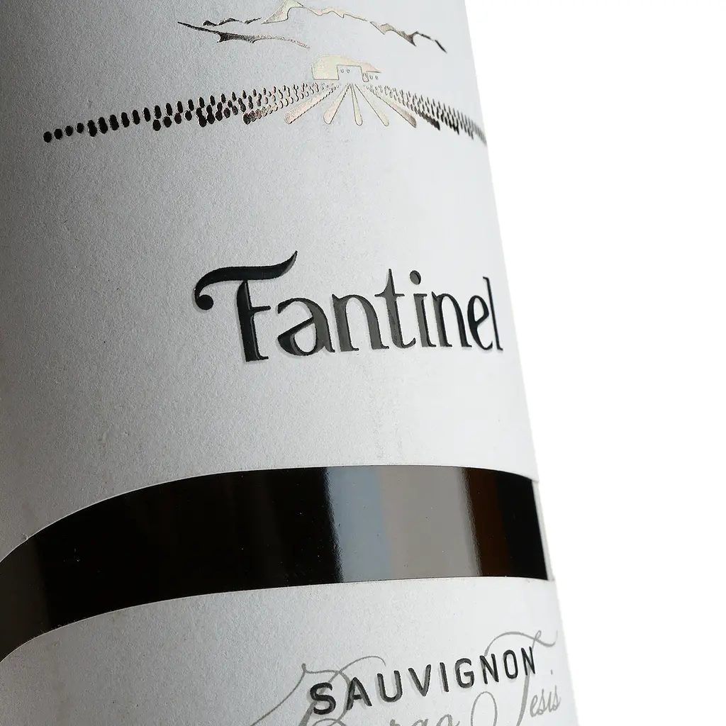 Вино Vinicolo Fantinel B.Tesis Sauvignon біле сухе 0.75 л (8000009737204) - фото 4