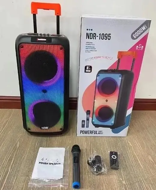 Портативная беспроводная колонка NDR-1095 8 дюймов 6000Вт - фото 8