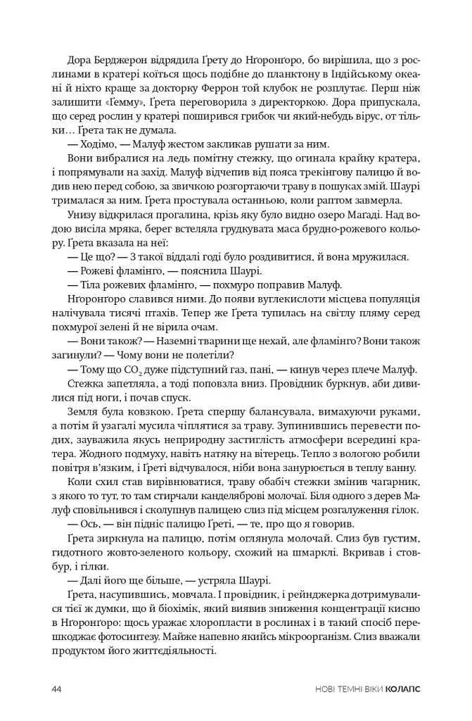 Нові Темні Віки. Колапс - Макс Кідрук - фото 7