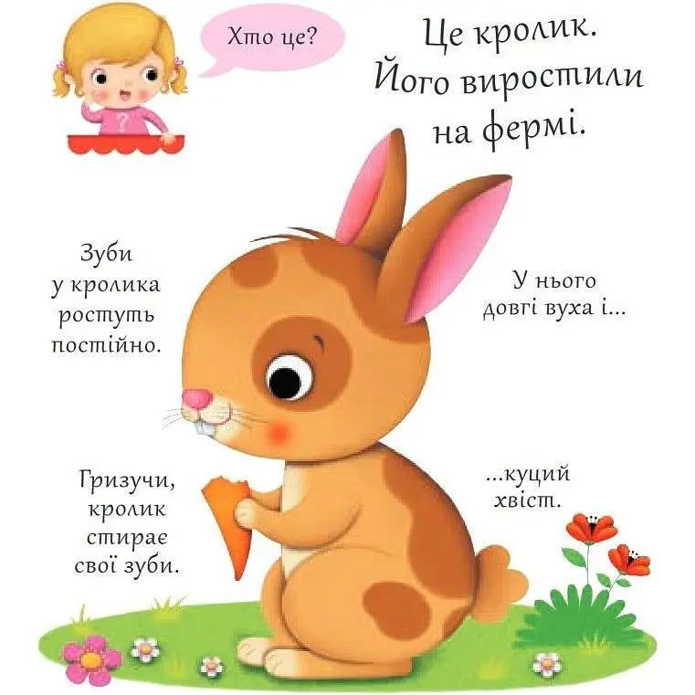 Книжка-картонка Богдан Хто це? Кролики - Бомон Емілія та Беліно Наталя (978-966-10-5139-2) - фото 3