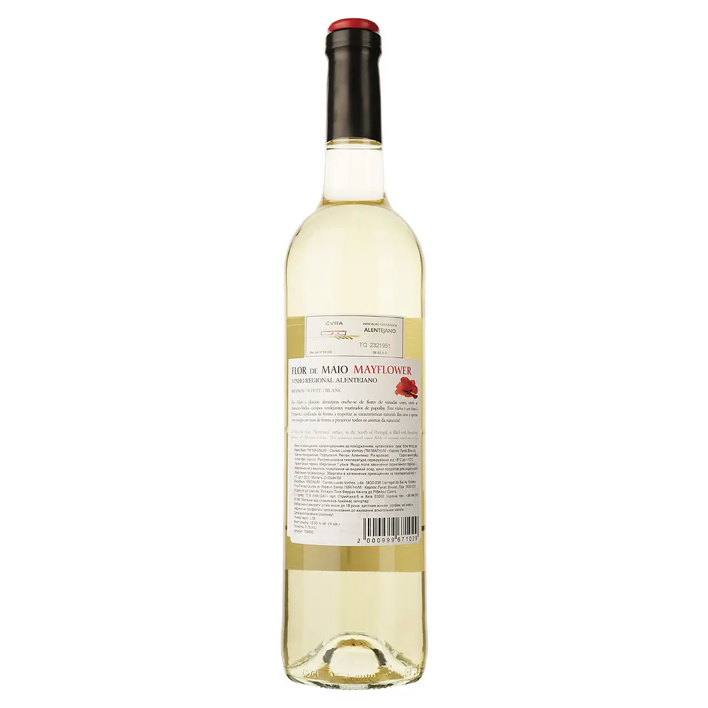 Вино Magnum Flor de Maio White DO Alentejo 2022 сухое белое 0.75 л - фото 2