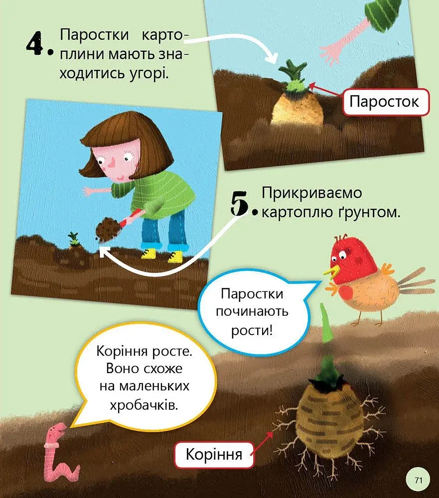 Робопарк і не тільки… Перше читання Non Fiction. Рівень 4 - фото 7